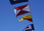 直击现场！联赛中美国队如何完成刷新纪录？