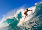 TL带队取胜！西亚卡姆重要时刻重返赛场观众掌声雷动