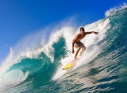 TL带队取胜！西亚卡姆重要时刻重返赛场观众掌声雷动