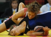 丹麦-淘汰捷克，顺利晋级半决赛的简单介绍