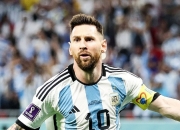 包含新秀出道保持高效表现，被誉赞为球队未来希望的词条