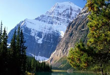 关于今夜美网前瞻：梅西伤情更新，密尔沃基雄鹿冲击零封纪录的信息